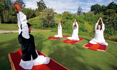 Ananda in the Himalayas Yoga