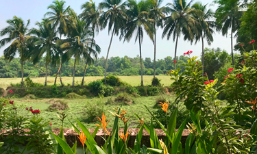 Alila Diwa Goa Klima beste Reisezeit